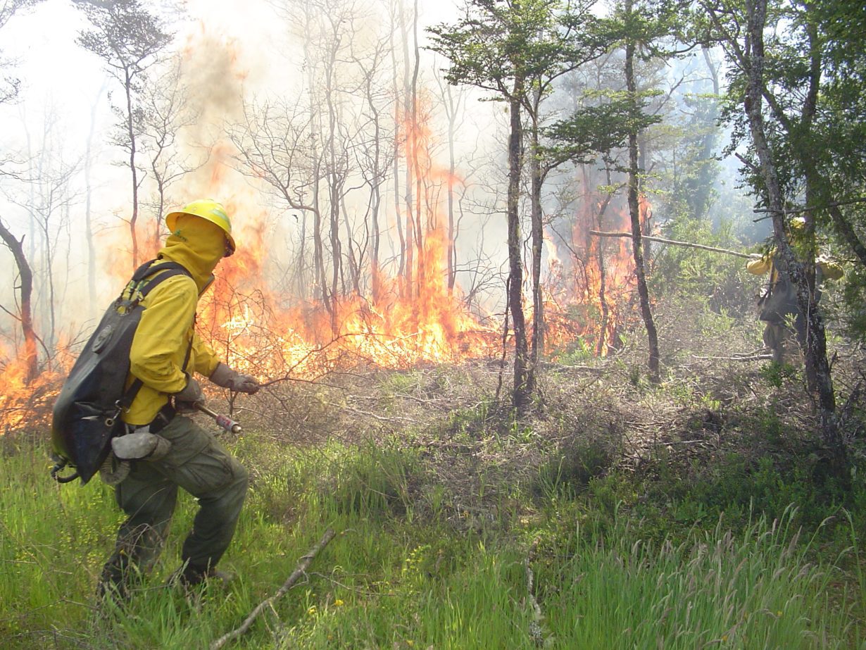 Cortafuego CONAF