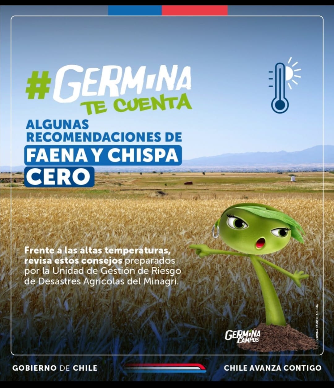 faena cero febrero