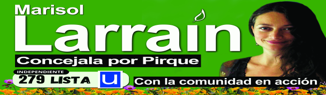 marisol larrain publicidad