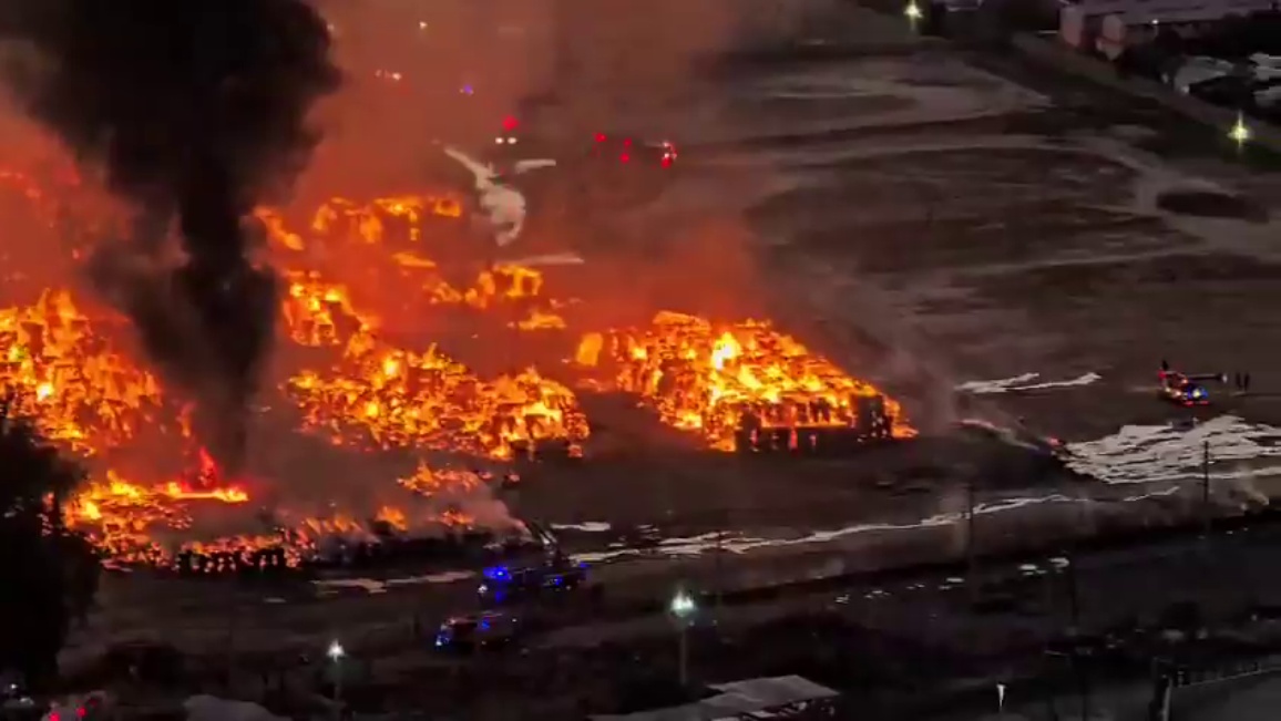 papelera portada 2 03 03 26