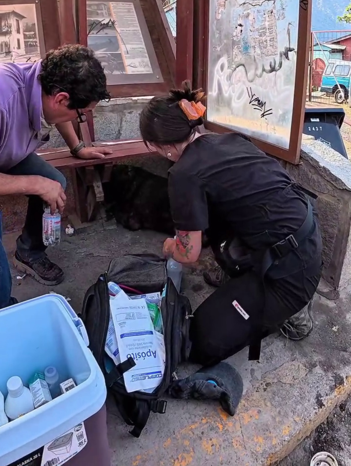 perro quemado 00011111