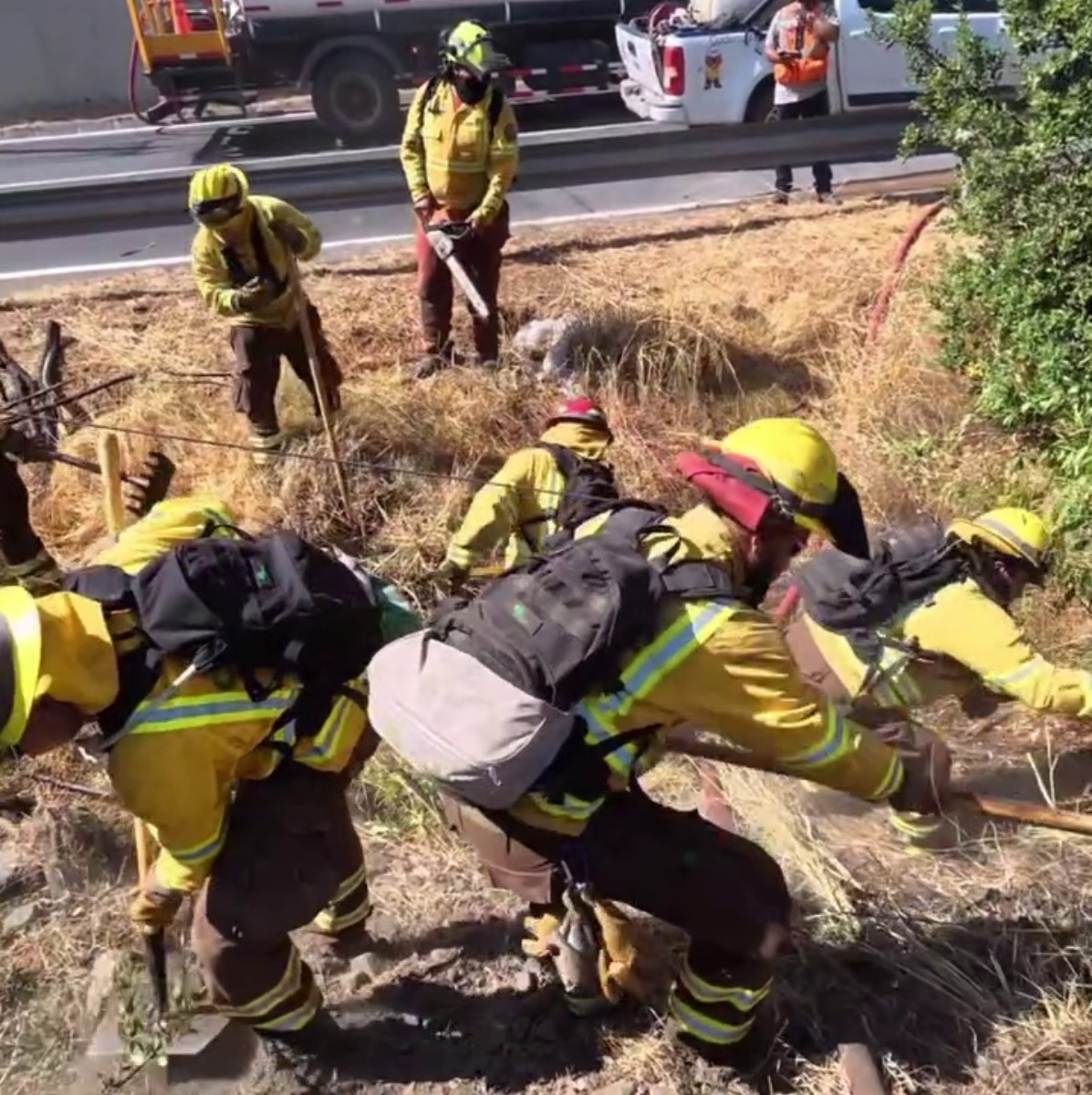 san jose toro 20 01 26 0000111