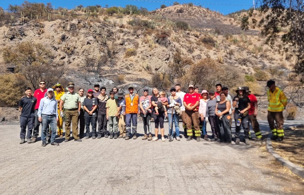vecino limpiesa cuesta los ratones